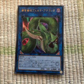 捕食植物ヴェルテ・アナコンダ