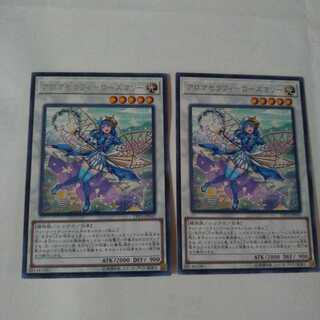 【同時購入割引あり】アロマセラフィ-ローズマリー レア