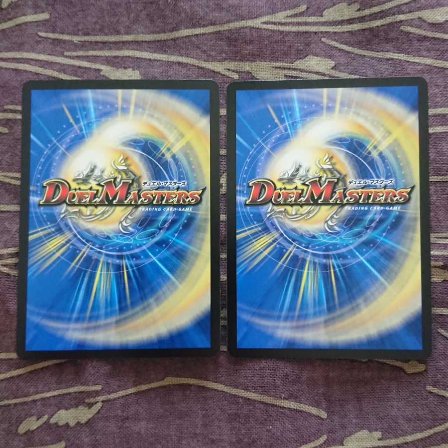 2枚 龍風混成 ザーディクリカ