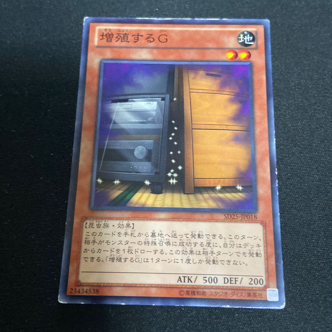 「傷あり特価」増殖するG ノーマルレア