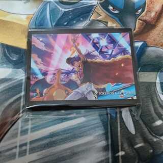 ダンデ　スリーブ