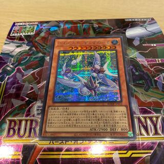 ふわんだりぃず×すのーる シークレットレア