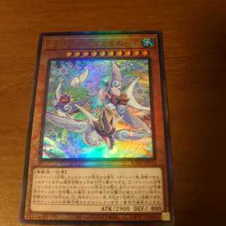 ふわんだりぃず×すのーる アルティメットレア