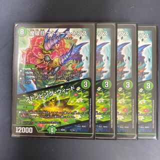 摩破目 ナトゥーラ・トプス｜ストンピング・ウィード