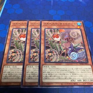 ふわんだりぃず×ろびーな レア