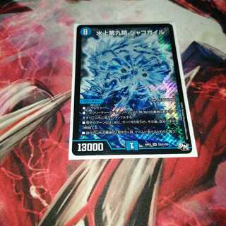 水上第九院 シャコガイル　シク