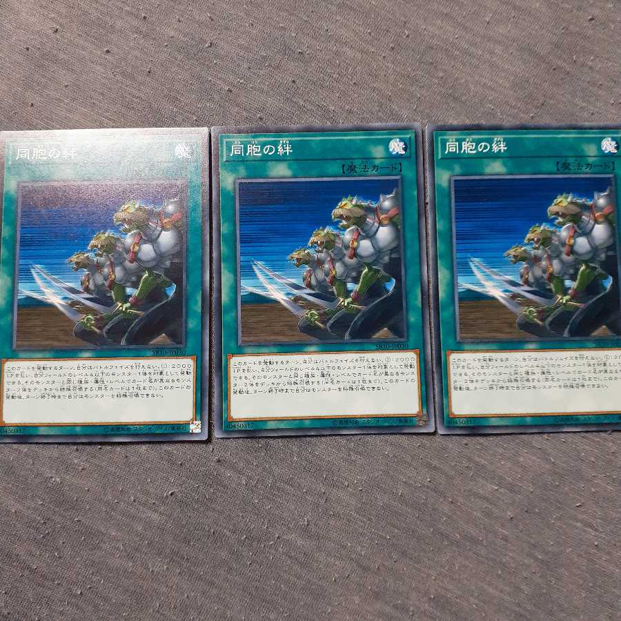 同胞の絆　三枚セット