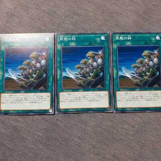 同胞の絆　三枚セット