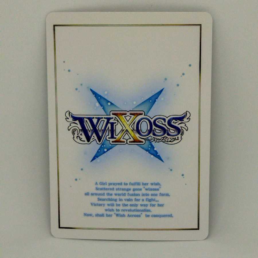 カーニバル −S−【コロナ対策済】