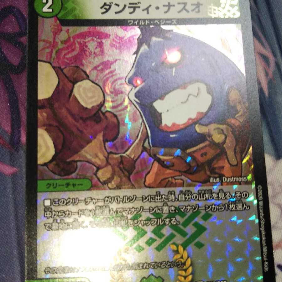 ダンディ・ナスオ C-foil