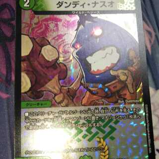 ダンディ・ナスオ C-foil