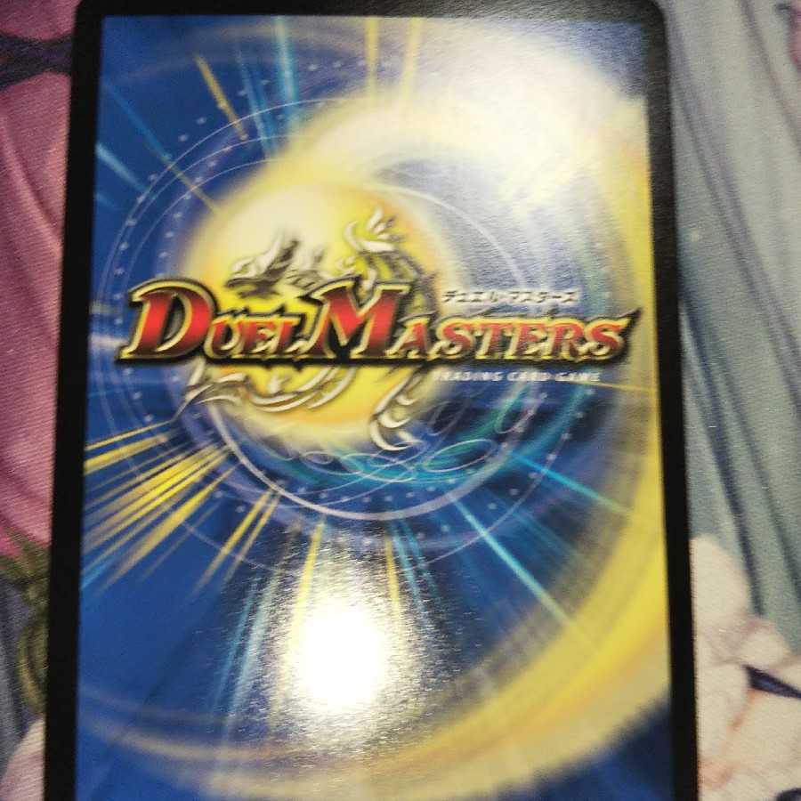 ダンディ・ナスオ C-foil