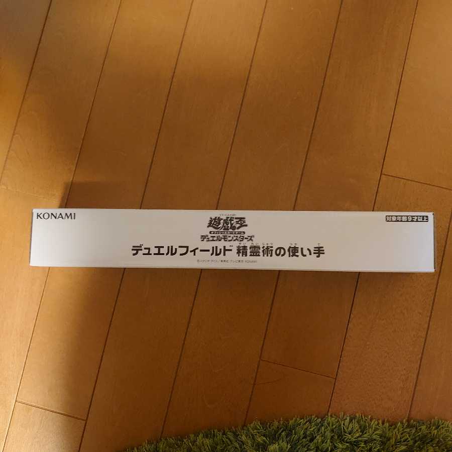 デュエルフィールド　精霊術の使い手