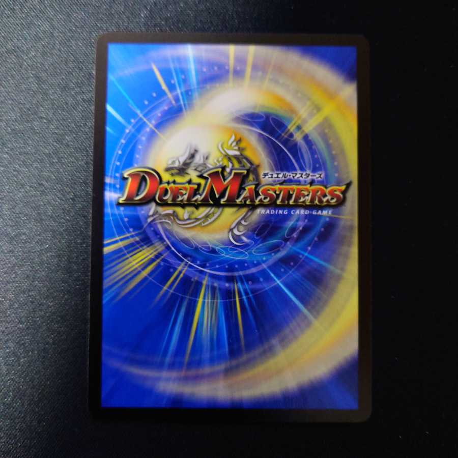 龍風混成 ザーディクリカ