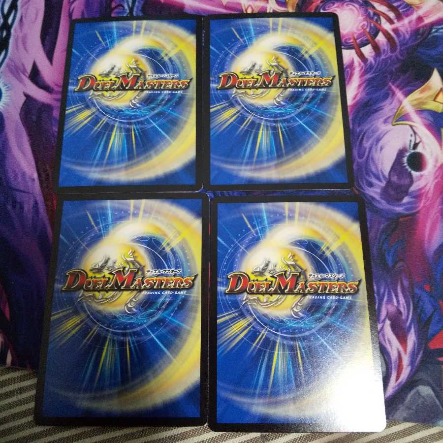 Uroctea compactilis (species of araneomorph spider)