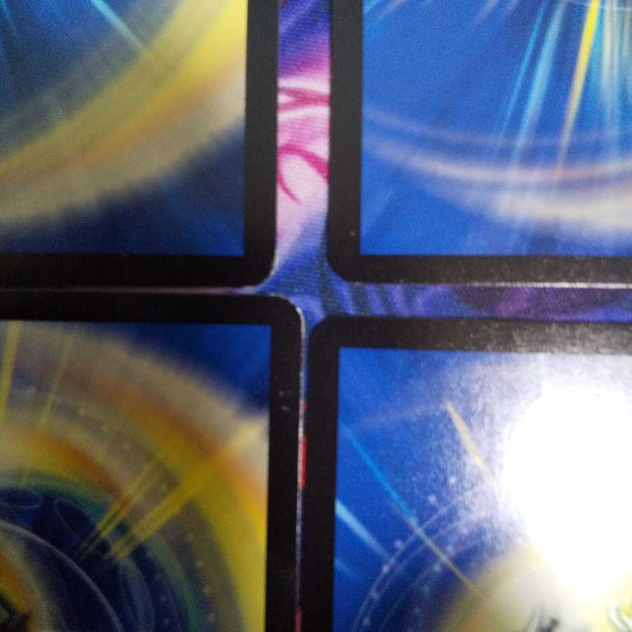 Uroctea compactilis (species of araneomorph spider)