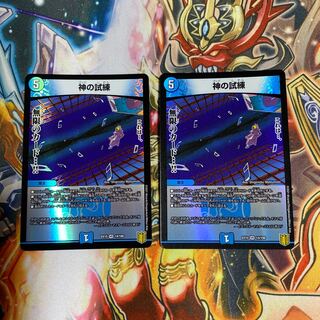 神の試練 VR2枚セット