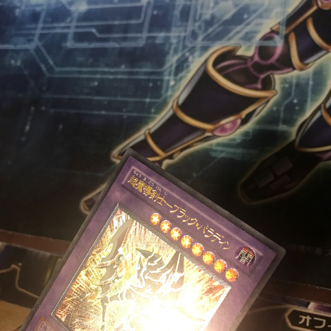 ブラックパラディン　レリーフ