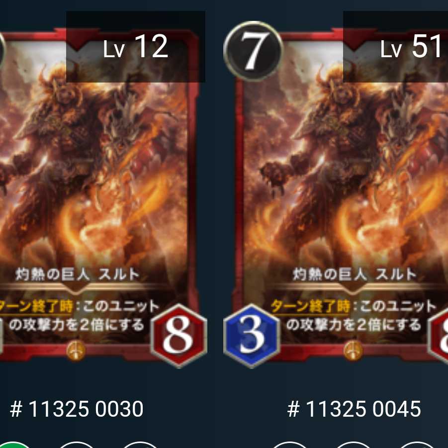 スルト２枚セット