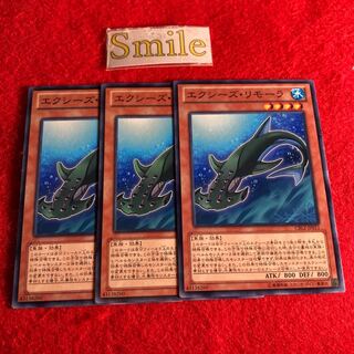 エクシーズ・リモーラ#945