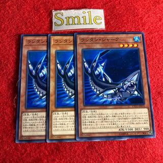 ランタン・シャーク#946