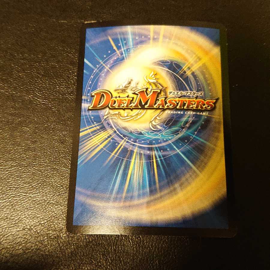 絶叫の悪魔龍 イーヴィル・ヒート VR 10/94 [816]