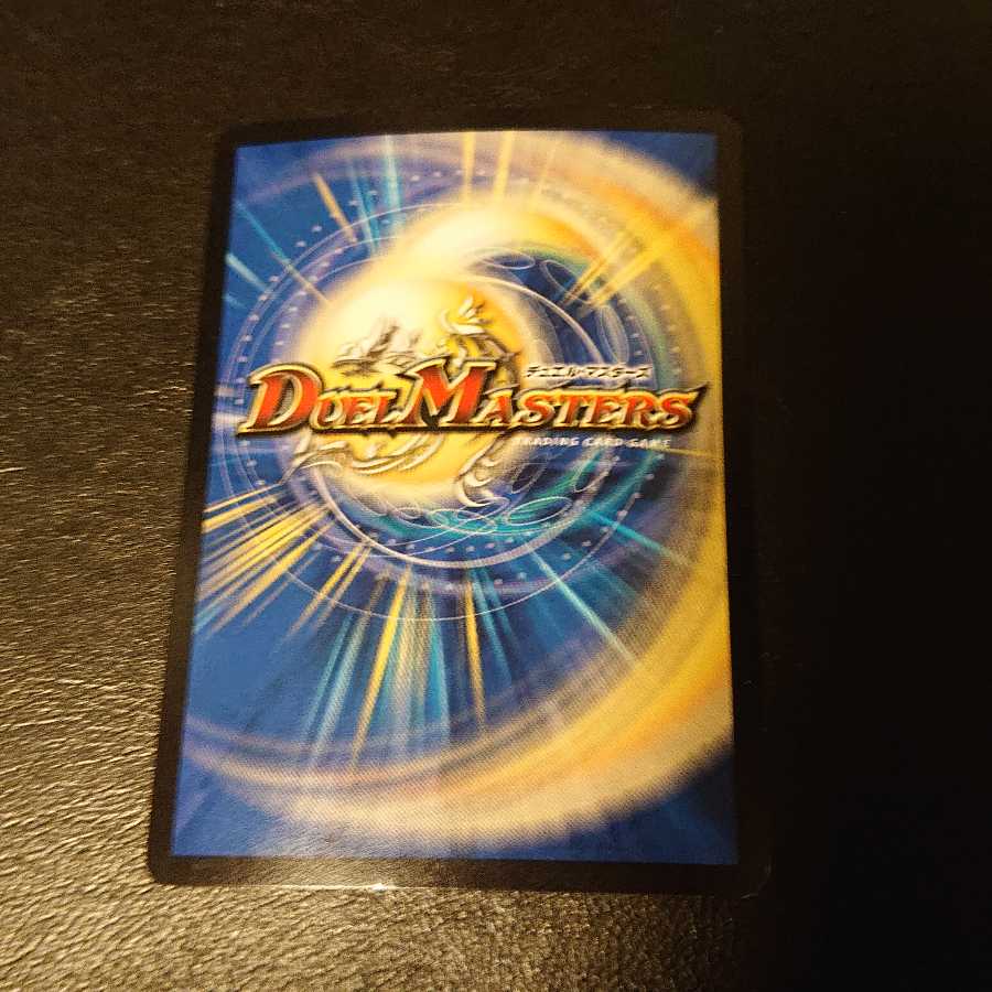 絶叫の悪魔龍 イーヴィル・ヒート VR 10/94 [817]