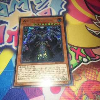 Roaring King Haar SC