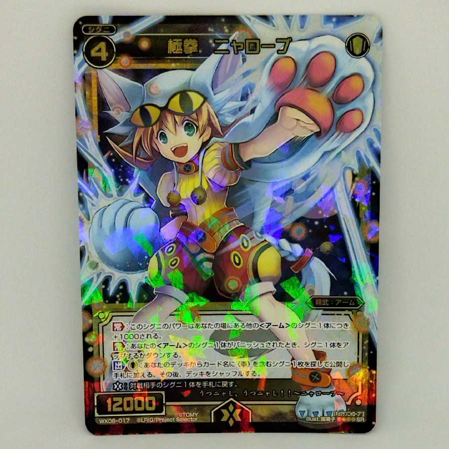 極拳 ニャローブ【コロナ対策済】