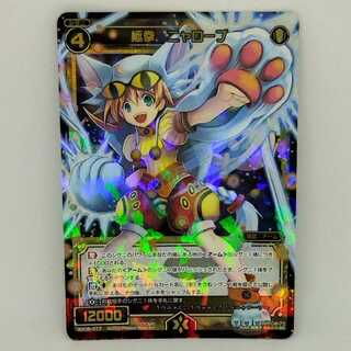 極拳　ニャローブ【コロナ対策済】