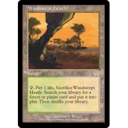 Ex 吹きさらしの荒野 Windswept Heath 英語 Ons の通販 カードラッシュ Magi店 Magi トレカ専用フリマアプリ