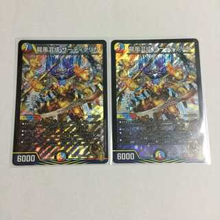 龍風混成 ザーディクリカ ×2