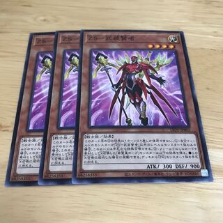 ZS-武装賢者 ノーマル　Hulu