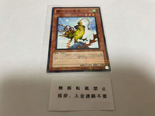 霞の谷の雷鳥 ノーパラ