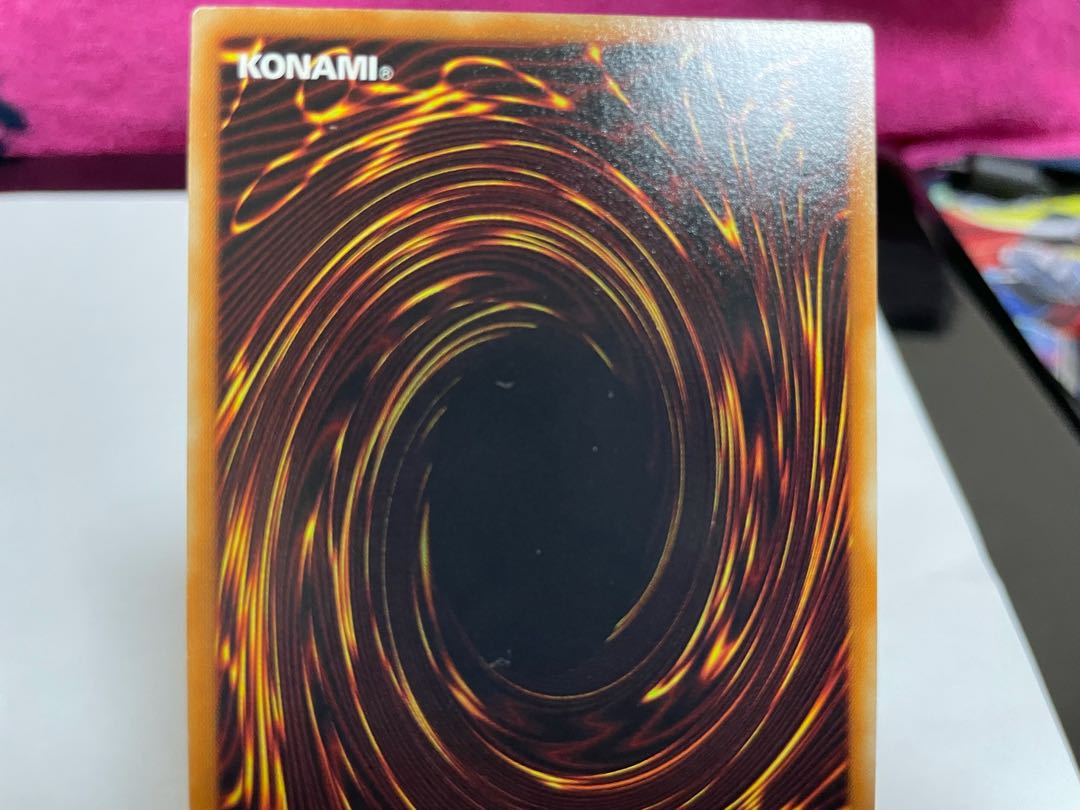 霞の谷の雷鳥 ノーパラ