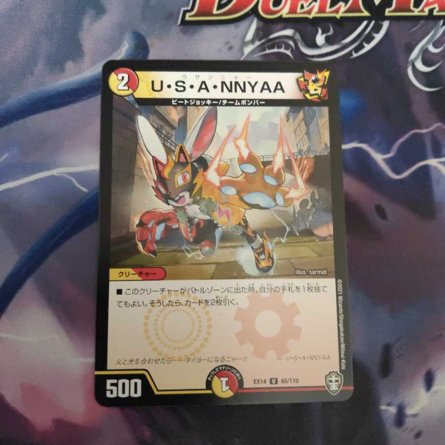 U・S・A・NNYAA ウサンニャー