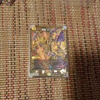 煌龍 サッヴァーク