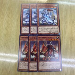 symmetrical sword set 1枚