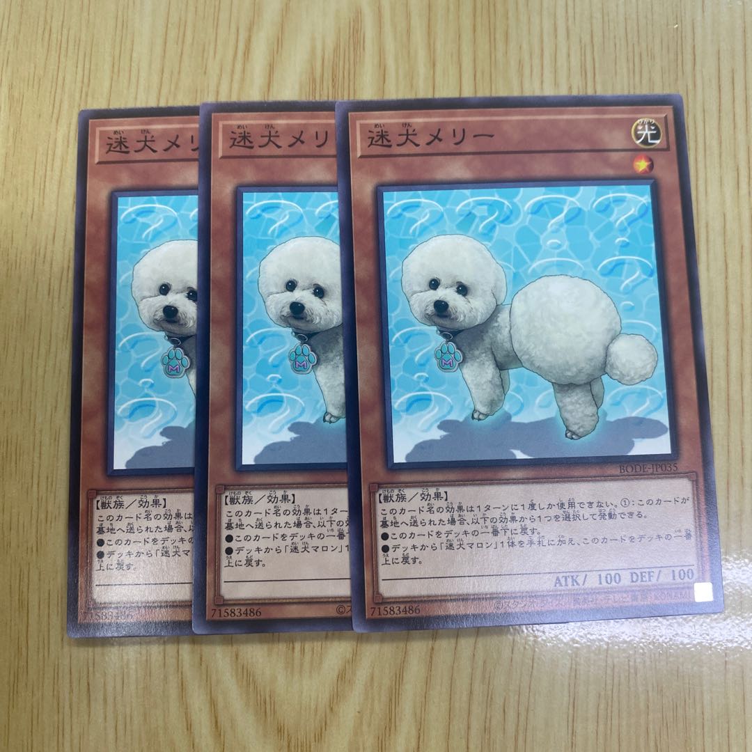 迷犬メリー ノーマルレア