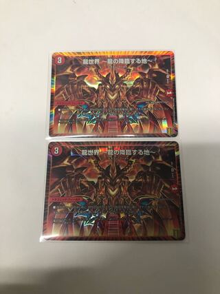 龍世界 -龍の降臨する地-2枚セット