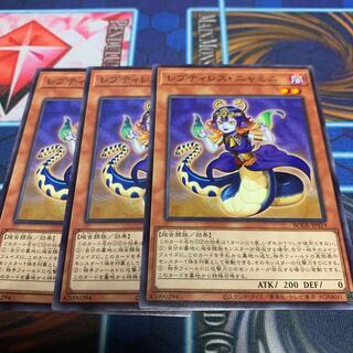 レプティレス・ニャミニ ノーマル