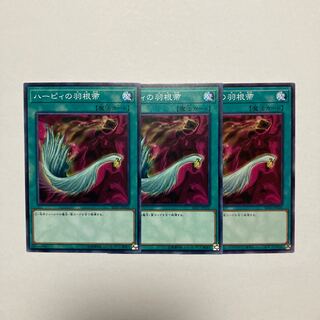 ハーピィの羽根帚 ノーマル JP032