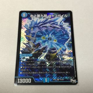 水上第九院 シャコガイル