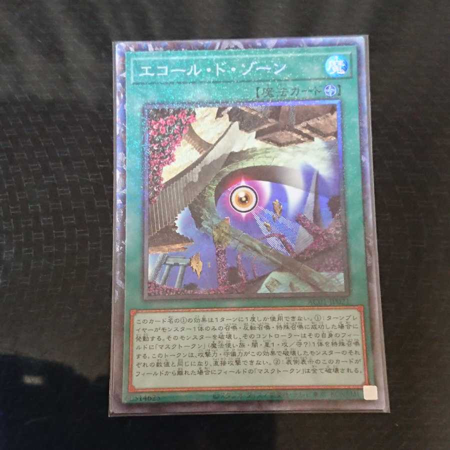 Ecole de Zone Collector's Rare