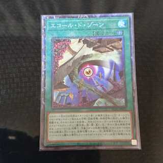 Ecole de Zone Collector's Rare