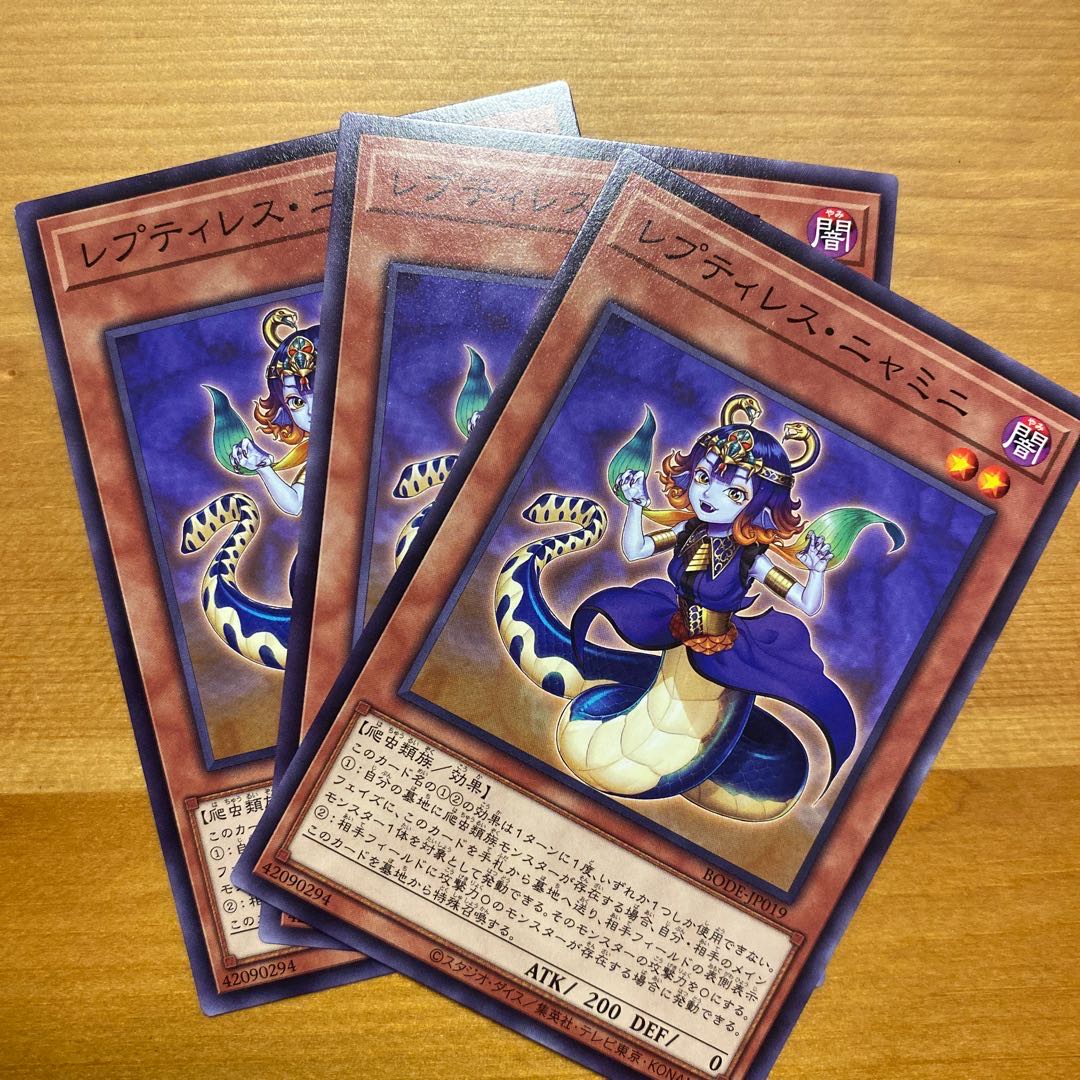 レプティレス・ニャミニ