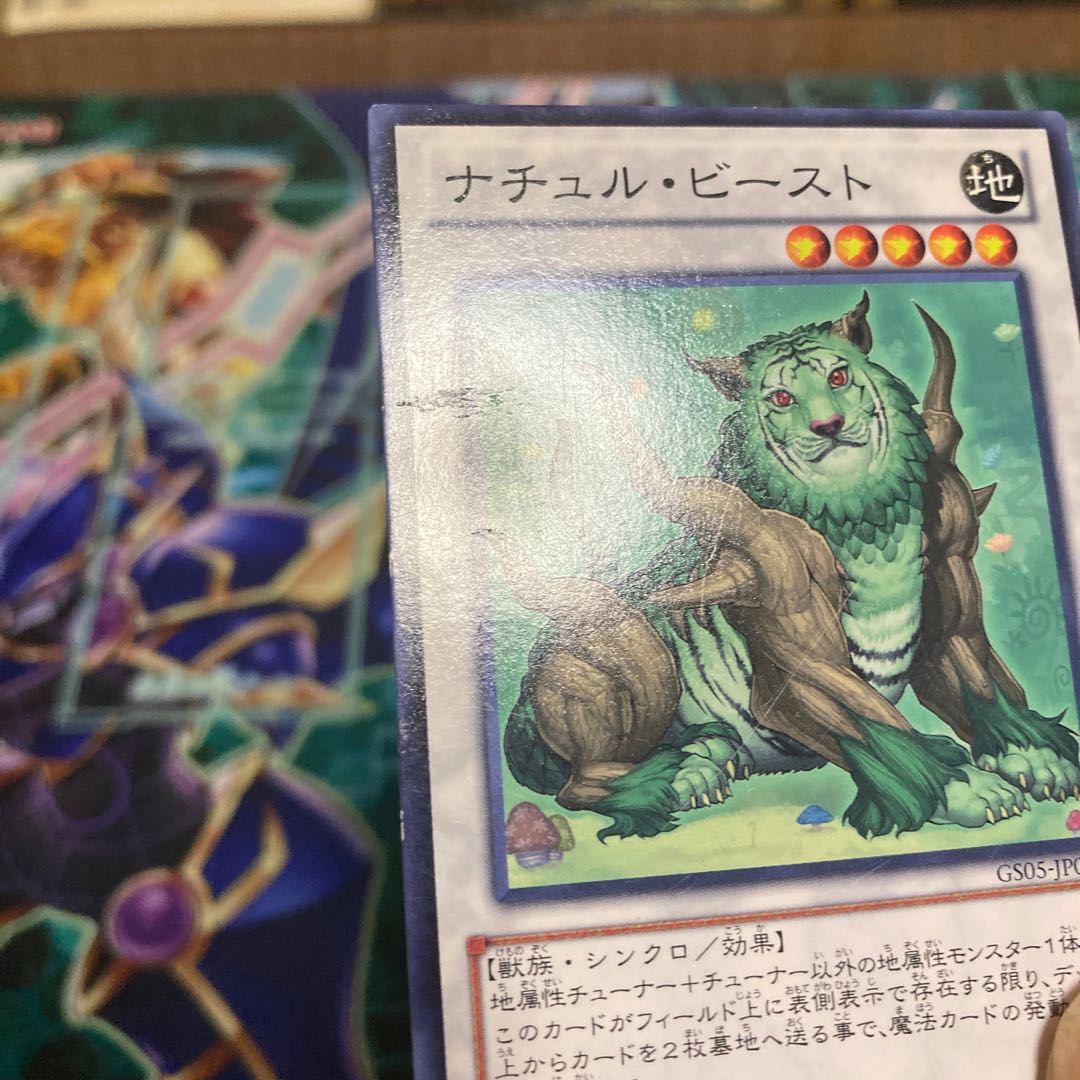 ナチュル・ビースト ノーマル