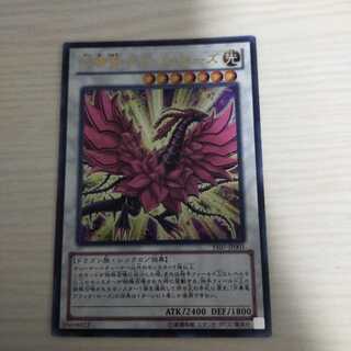 Black Rose Moonlight Dragon