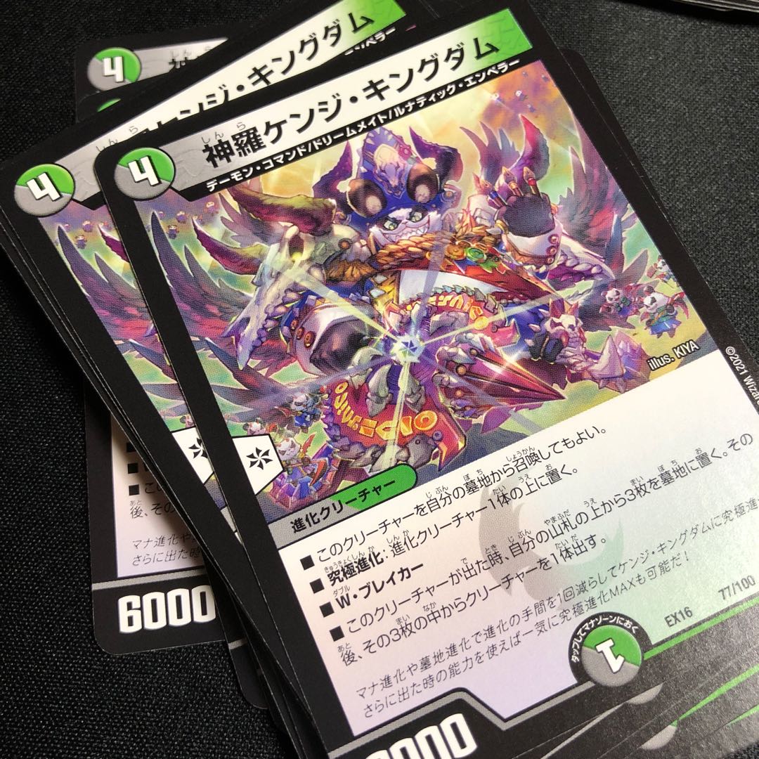 Shinra Kenji Kingdom