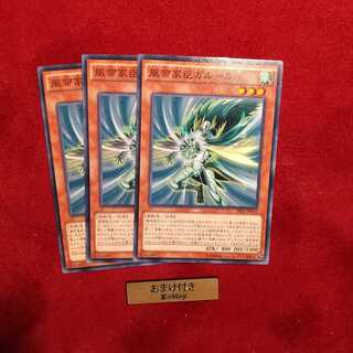 風帝家臣ガルーム ノーマル